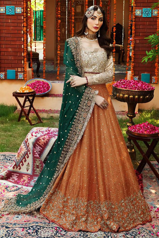 AYESHA IMRAN maxi net Masoori Embroidered hand work luxury unstitched 3pc